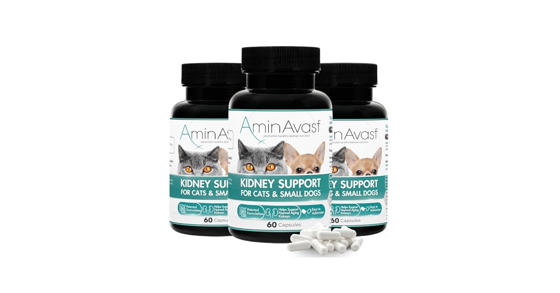 biohealth AminAvast 60カプセル 犬猫用 2本 Amazon.com : AminAvast Kidney Support Supplement for Cats